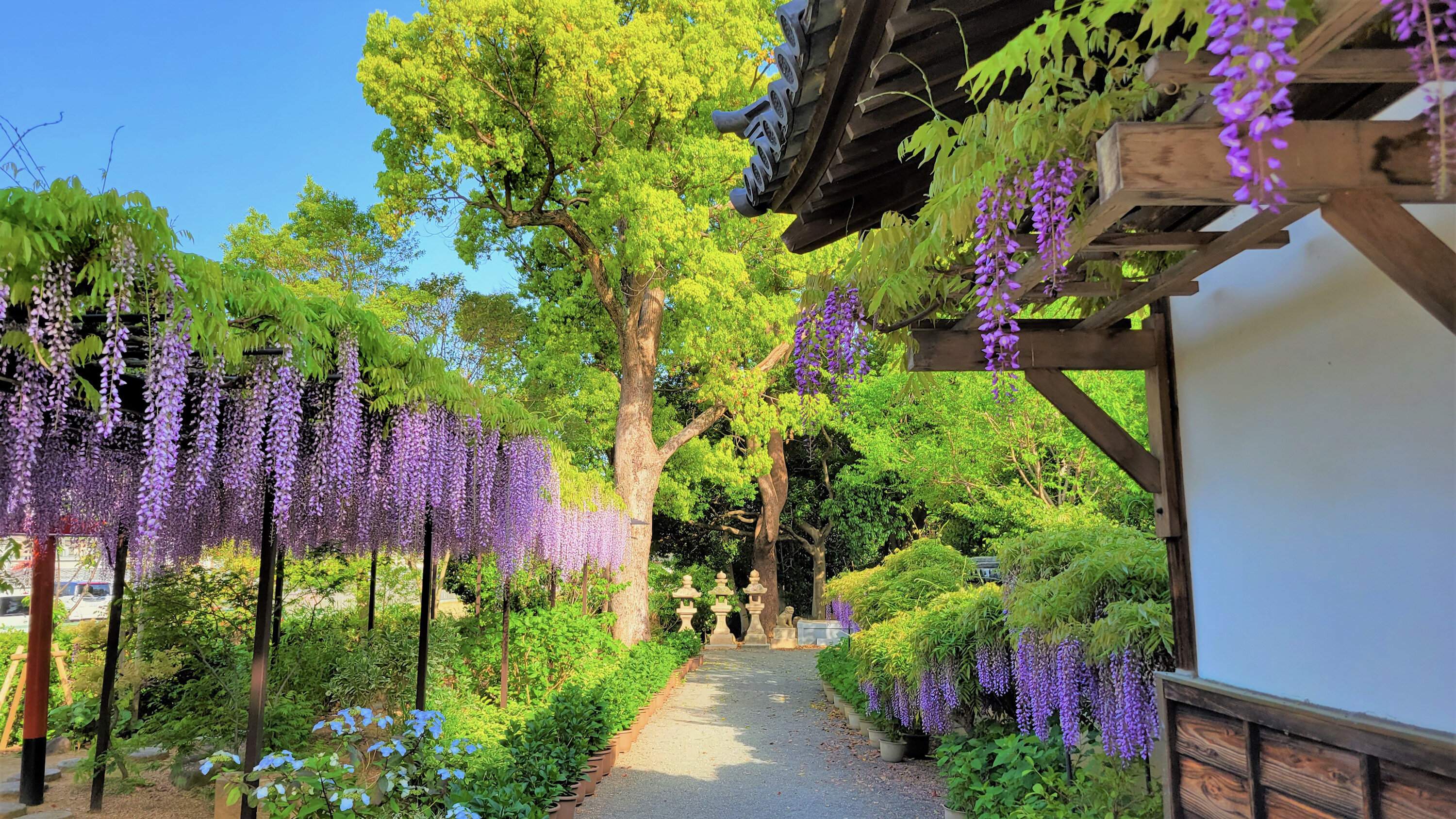 🌸 나카미 신사(奈加美神社)